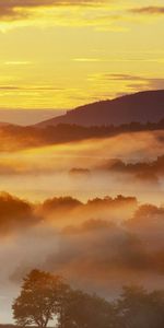 Árboles,Puesta Del Sol,Nubes,Paisaje