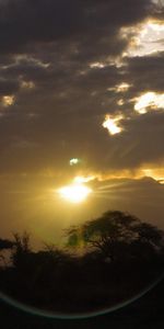 Landscape,Trees,Sunset,Clouds