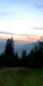 Montagnes,Coucher De Soleil,Arbres,Paysage