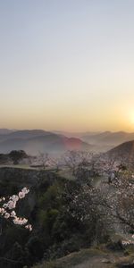 Paisaje,Árboles,Puesta Del Sol,Montañas