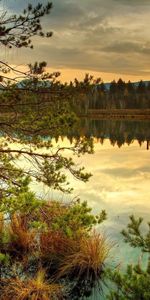 Landscape,Trees,Sunset,Rivers