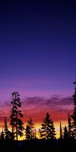 Arbres,Coucher De Soleil,Sky,Paysage