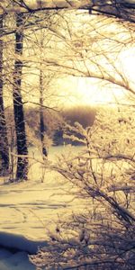 Landscape,Trees,Sunset,Snow,Winter