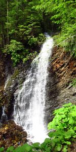 Arbres,Paysage,Cascades