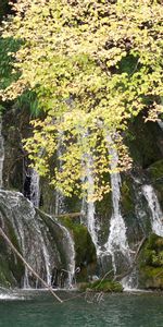 Деревья,Пейзаж,Водопады