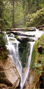 Arbres,Paysage,Cascades