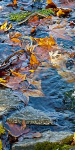 Eau,Paysage,Automne