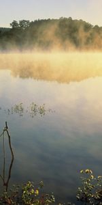 Paisaje,Agua,Barcos