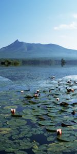 Landscape,Water,Lakes