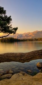 Landscape,Water,Lakes,Trees