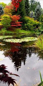 Landscape,Water,Plants