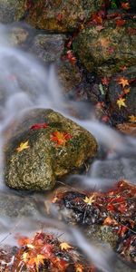 Agua,Ríos,Stones,Hojas,Paisaje