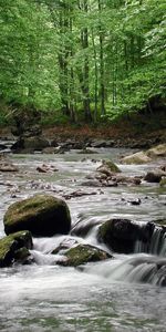 Agua,Árboles,Stones,Paisaje,Ríos