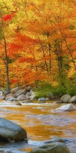 Landscape,Water,Rivers,Stones,Trees,Autumn