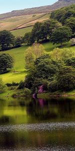 Agua,Ríos,Árboles,Paisaje