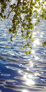 Река,Деревья,Вода,Пейзаж