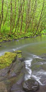 Paisaje,Agua,Ríos,Árboles