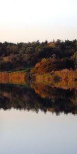 Landscape,Water,Rivers,Trees,Autumn