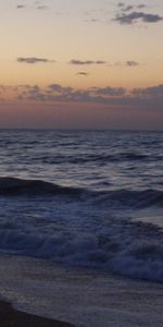 Landscape,Water,Sky,Sea,Beach