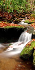 Вода,Река,Пейзаж,Камни