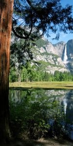 Arbres,Eau,Paysage