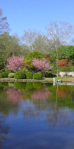 Landscape,Water,Trees