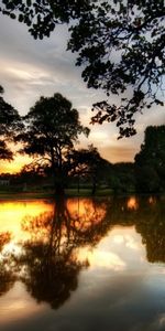 Landscape,Water,Trees