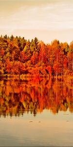 Arbres,Eau,Paysage,Lacs,Automne