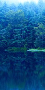 Landscape,Water,Trees,Lakes