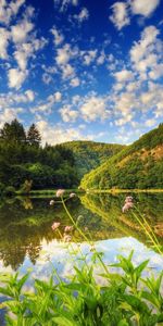 Landscape,Water,Trees,Sky