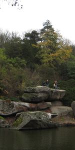 Landscape,Water,Trees,Stones