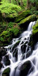 Agua,Cascadas,Paisaje