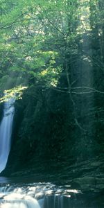 Cascadas,Paisaje