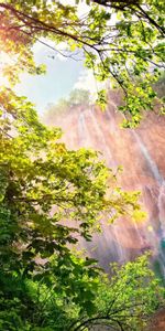 Paisaje,Cascadas