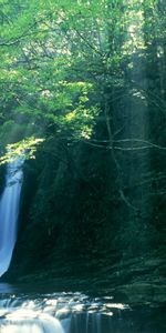 Paisaje,Cascadas