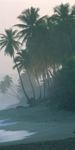 Landscape,Waves,Beach,Palms