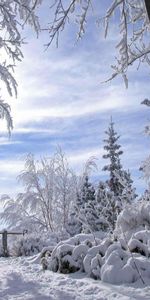 Hiver,Paysage