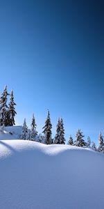 Paysage,Hiver