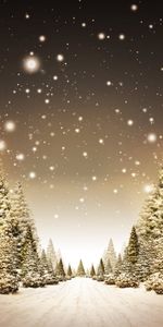 Landscape,Winter,Art,Roads,Snow,Fir Trees,Trees