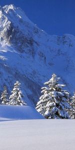 Montagnes,Neige,Hiver,Sapins,Maisons,Paysage