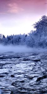 Paysage,Rivières,Hiver