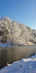 Arbres,Neige,Hiver,Rivières,Paysage