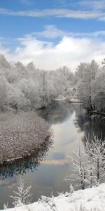 Paysage,Arbres,Rivières,Hiver