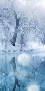 Landscape,Winter,Rivers,Trees