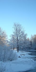 Landscape,Winter,Rivers,Trees,Snow