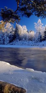 Деревья,Снег,Река,Зима,Пейзаж