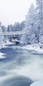 Rivières,Arbres,Neige,Hiver,Paysage