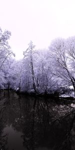 Arbres,Neige,Rivières,Hiver,Paysage