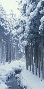 Landscape,Winter,Rivers,Trees,Snow