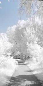 Paisaje,Invierno,Carreteras